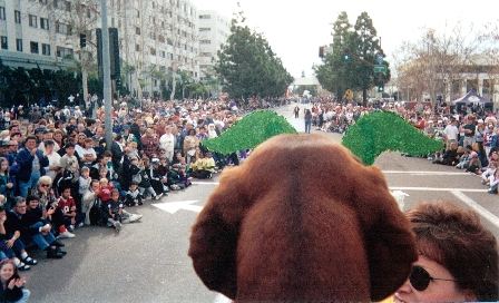 Baron on a parade float